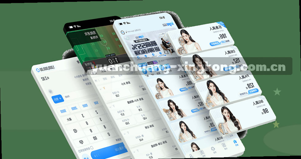星空平台导航体系深度分析：从官网入口调整看用户行为逻辑
