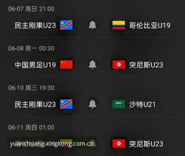 土伦杯U19国足0-3突尼斯：赛事解读与观赛平台选择指南